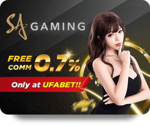 Những Lưu Ý Khi Áp Dụng VF555 Tỷ Lệ Vàng Trong Đầu Tư